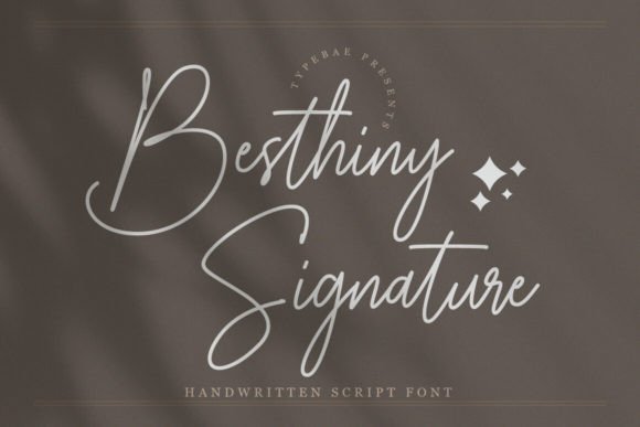 Evaluating Besthiny Signature: A Designer's Hands-On Review