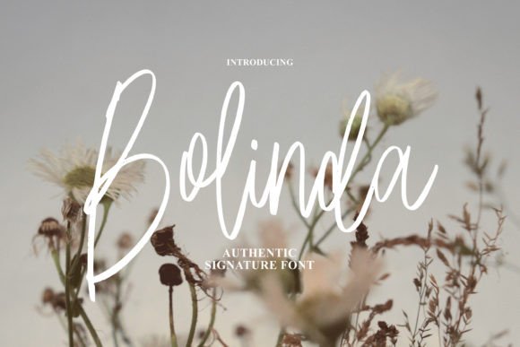 Introducing Bolinda: A Script Font for Elegant Creations